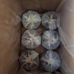 Anti Corrosion Copper Gas Pipe Wrap Tape Insulation OEM for sale