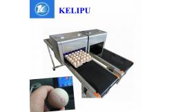 China Computer Control Egg Industrial Inkjet Printing Machines For Batch Number supplier