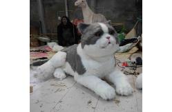 China Life Size Realistic Animatronic Cat ,  Interactive Talking Lovely Cat supplier