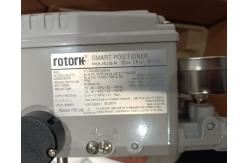 China YT-3300RS15401S Rotork Series Product Manual with 1 Period supplier