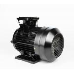 250kw Industrial Brushless Permanent Magnet Motor Rare Earth NdFeB Brushless PMAC Motor for sale
