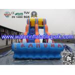 Inflatable Water Slide For Amusement Park  / Inflatable Pool Slide