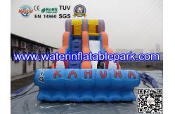China Inflatable Water Slide For Amusement Park  / Inflatable Pool Slide supplier