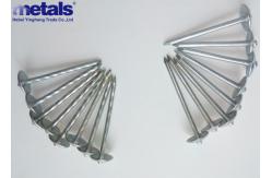 China 1.5-3 Electro Galvanised Roof Nails 11 Gauge ODM supplier