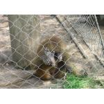 High Tensile Zoological Animal Enclosure Mesh 3.0mm Knotted Rope Net for sale