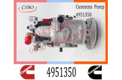 China Cummins Diesel NT855 Engine Fuel Injection Pump 4951350 3074835 3646708 supplier