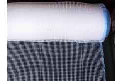 China BWG32 Plastic Window Screen Roll Polyethylene Window Wire Net 16X18 Mesh supplier