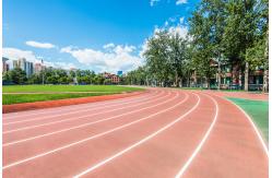 China 9MM Thickness EPDM Sandwich Running Track Artificial Grass Sports Flooring supplier