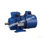 PMSM Motor Permanent - Magnet Synchronous Motor For Electric Vehicles for sale