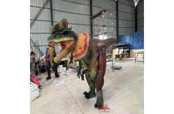 China Dilophosaurus  Costume With Movable Crown Animatronic Dinosaur Party Props supplier