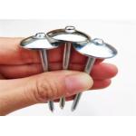 Bwg 10 2.5'' Length Galvanised Roofing Nails Umbrella Head for sale