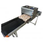 Label / Logo Egg Inkjet Coding Printer With 1 - 4 Available Printing Lines for sale
