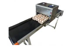 China Label / Logo Egg Inkjet Coding Printer With 1 - 4 Available Printing Lines supplier
