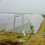3m Width HDPE Garden Netting Providing Protection for Vegetables Fruits and Flowers 