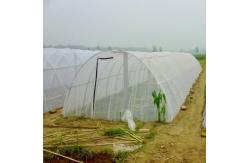 China 3m Width HDPE Garden Netting Providing Protection for Vegetables Fruits and Flowers  supplier
