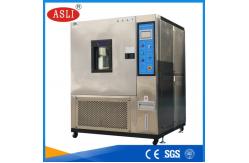 China Programmable Temperature Humidity Controllable Bioclimatic Chambers For Testing Lab supplier