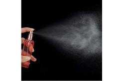 China Rose Gold Portable Refillable Atomizer Travel Perfume Fine Mist Sprayer Bottle supplier