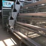 4 Tier Automatic Chicken Cage Manure Remover A Type Silver White for sale