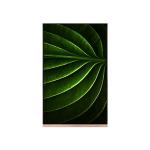 LCD Screen 3.0 inch for AUO A030DL01 V2 lcd module for sale