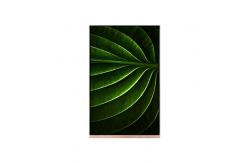 China LCD Screen 3.0 inch for AUO A030DL01 V2 lcd module supplier