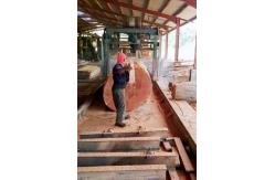 China 2000mm Portable Swing Blade Sawmill DS2000 Swing Arm Sawmill supplier