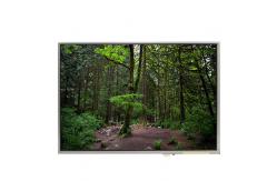 China LTD121EXPV 12.1 inch LVDS  TFT-LCD Screen For Laptop supplier
