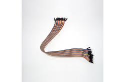 China 40cm  40 Pin Male To Male Dupont Jumper Wires supplier