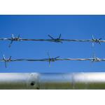 Use Of Prison Walls Single Strand Hot Dipped Galvanized Steel Barbed Wire for sale