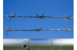 China Use Of Prison Walls Single Strand Hot Dipped Galvanized Steel Barbed Wire supplier