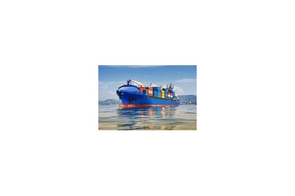 Customs Clearance Ddp International Shipping From China To Amazon Fulfillment Warehouse