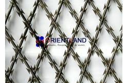 China Welded Protection Razor Mesh Fencing , Anti Climb Blade Wire Fencing supplier