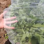 Breathable Mesh Mosquito Window Screen Allows Fresh Air And Natural Light
