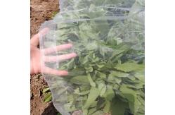 China Breathable Mesh Mosquito Window Screen Allows Fresh Air And Natural Light supplier
