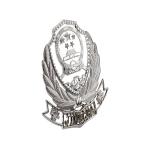 Pushpin Custom Metal Logo Badges Zinc Alloy Commercial High End for sale