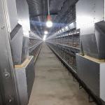 200-300 chickens / set Hot Dip Galvanized Chicken Cage For Chicken Farms Broiler Cage for sale