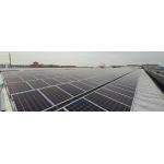 335W 335W 325W Mono Solar Panel 12v 220v 60PCS Mono PERC Cells