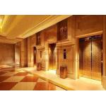 1.0m/s High Speed Elevator Machine Roomless Electric Passenger Lift for sale
