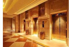 China 1.0m/s High Speed Elevator Machine Roomless Electric Passenger Lift supplier