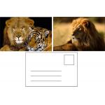 Flip Effect 3D Lenticular Postcard Cute Puppies and Kittens Design