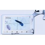 Wireless Digital Opto Edu Handheld Usb Microscope Wf10x Eyepiece