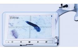 China Wireless Digital Opto Edu Handheld Usb Microscope Wf10x Eyepiece supplier
