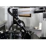 User Friendly IML Take In Take Out with AI Vision Inspection System