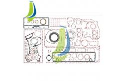 China 4089391 4376512 Lower Gasket Kit For KTA19 Engine supplier