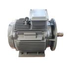 Three Phase AC Permanent Magnet Wind Generator IP54 IP55 Natural Cooled for sale