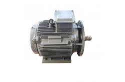 China Three Phase AC Permanent Magnet Wind Generator IP54 IP55 Natural Cooled supplier
