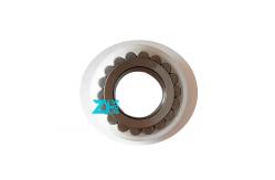 China Cpm 2165 CPM2165 full complement cylindrical roller bearing 20x36.81x16mm supplier