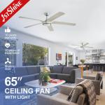 Big Room 65 Inches 5 Blades LED Ceiling Fan with Remote Control and 110-240V/50Hz-60Hz for sale