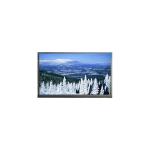 N140HCP-E31 1920*1080 14.0 inch eDP LCD Display Panel for sale