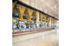 China Effective Clothes Washing Powder Laundry Detergent for Customized Clothes supplier