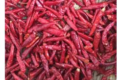 China Halal Approved S4 Replacement New Generation Dried Red Chilli Peppers 50000SHU supplier